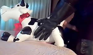Milking The Cow