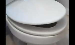 Toilet lid going down epic