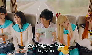 Nisekoi comply with action