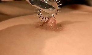 Shove around sexy Welpe nach Besitzerbestellungen. BDSM-Film.