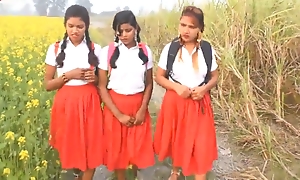 Outdoor indian school girl sex romance hindi audio